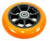 Paradox Premium 120 x 24 x 12STD Rolle Orange Black